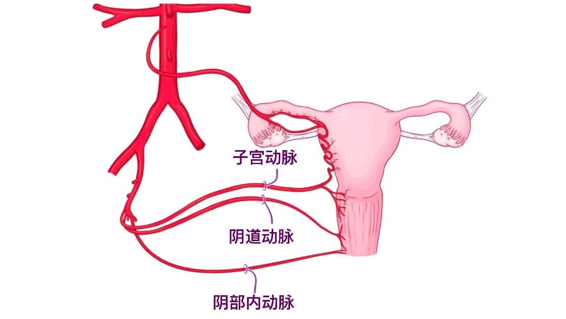 徐医生3.jpg