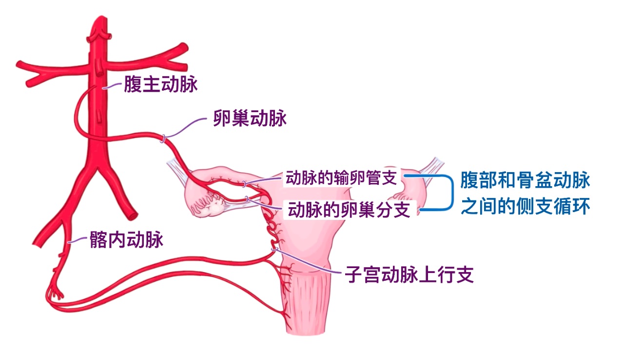 徐医生4.jpg