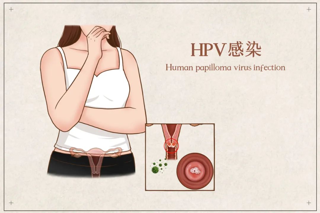 妇科1.jpg